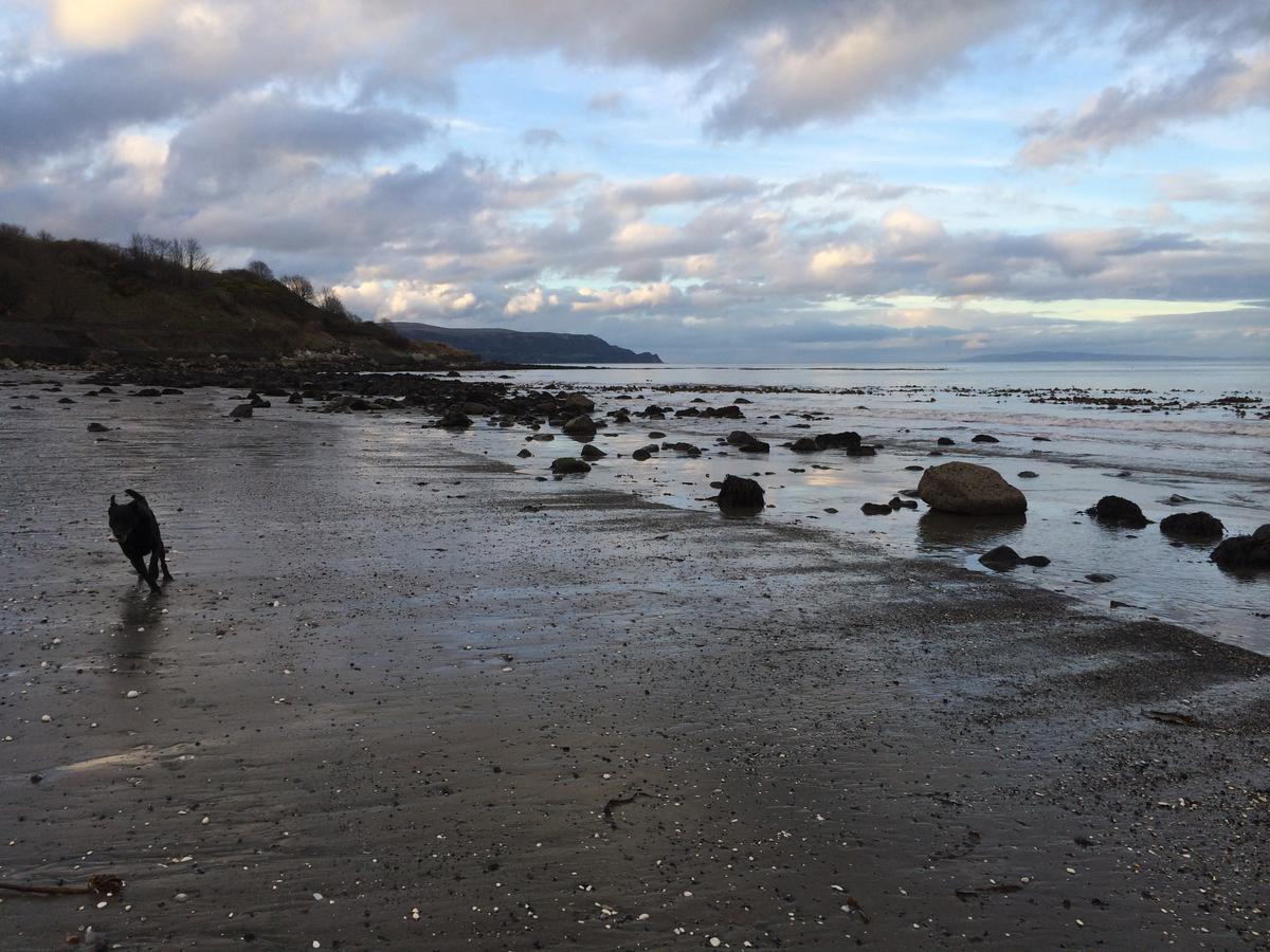 Josies Place At Waters Edge Self Catering Apartment Glenarm Exteriör bild